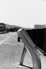 強い日差しの中で