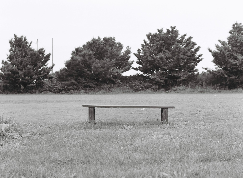 孤独なベンチ・・・
