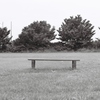 孤独なベンチ・・・