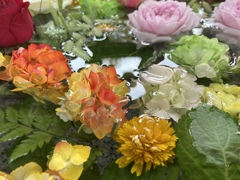 あと何回見られるかな