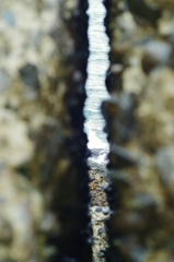 K-01 2月１３　埠頭 035