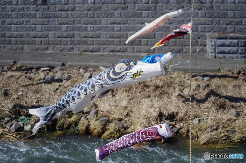 うちら、やっぱ水のほうがいんじゃね？