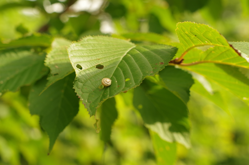 小さな営み・・・