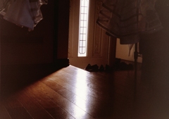 西陽の玄関・・・