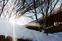 光をください・・・