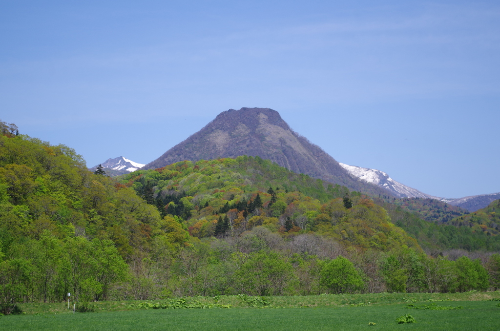 個人的にはプリン山・・・