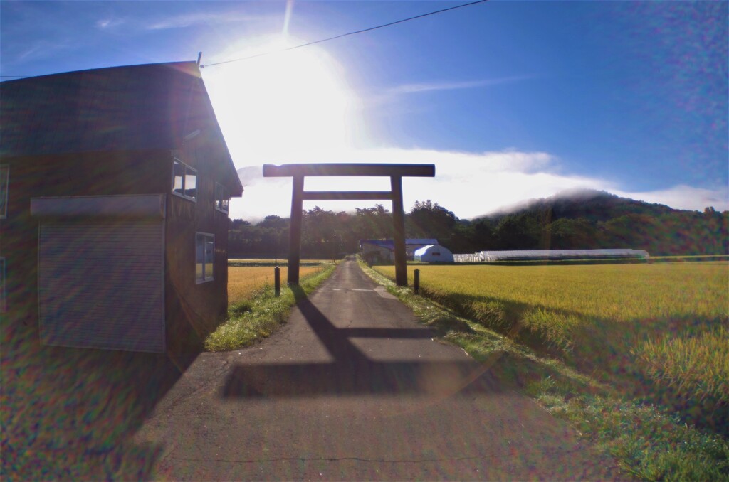 実りの参道・・・