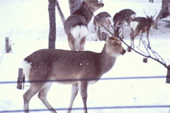 いいことあった？ご機嫌だね・・