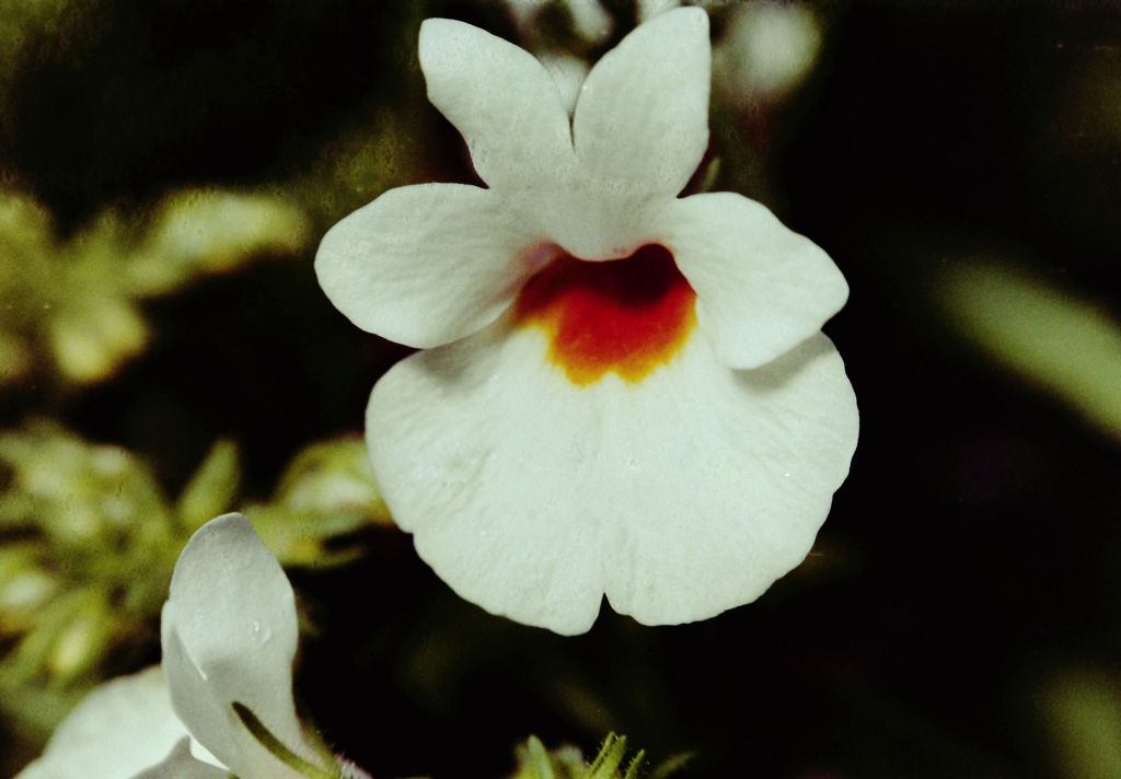 PICT0128