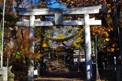 朝参り・・・