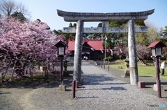 場内の神社