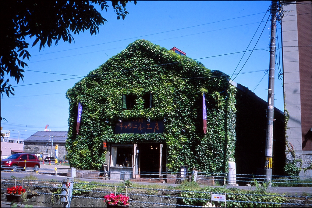 ツタの石造店舗