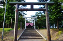 TORII