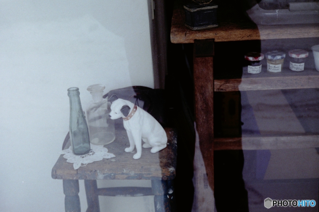 呼んだのは君？・・