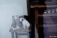 呼んだのは君？・・