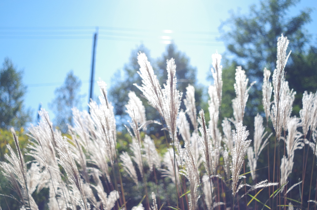 光を纏う・・・