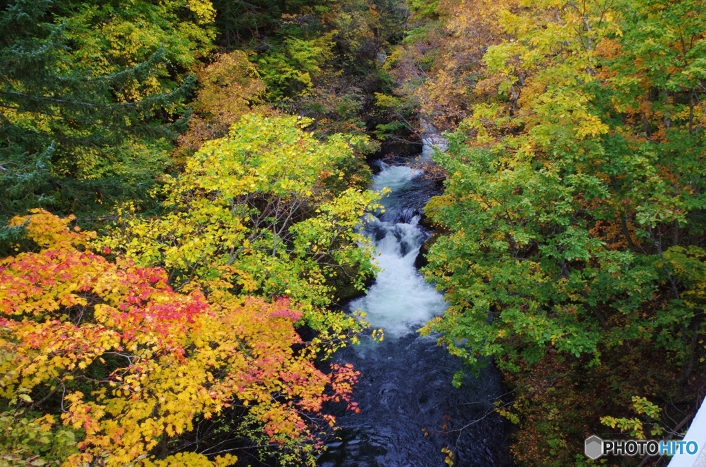 紅葉ドライブ・・・オタルナイ川