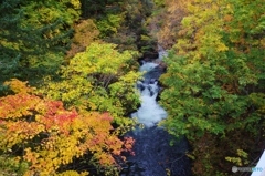 紅葉ドライブ・・・オタルナイ川