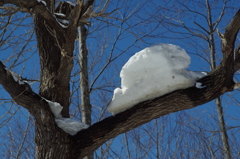 残雪・・・