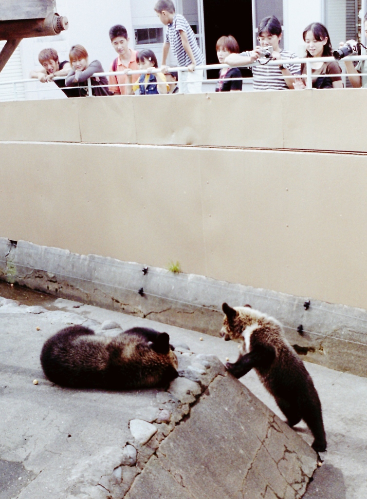 仕事だ！起きろ・・