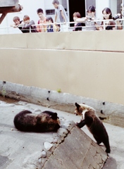 仕事だ！起きろ・・