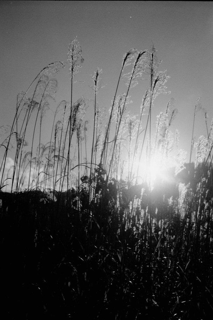 PICT0017