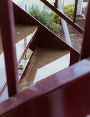 雨止んで撮りにゆく