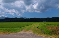 新十津川の空