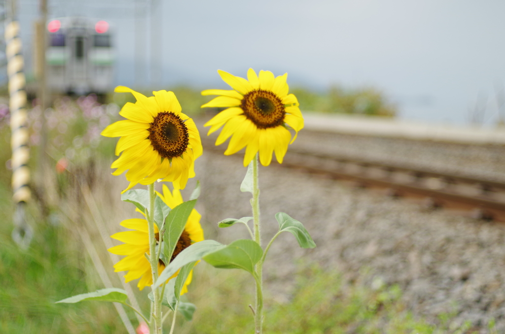 意外と風強かったな、な・・