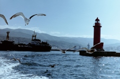 遊覧船から・・・