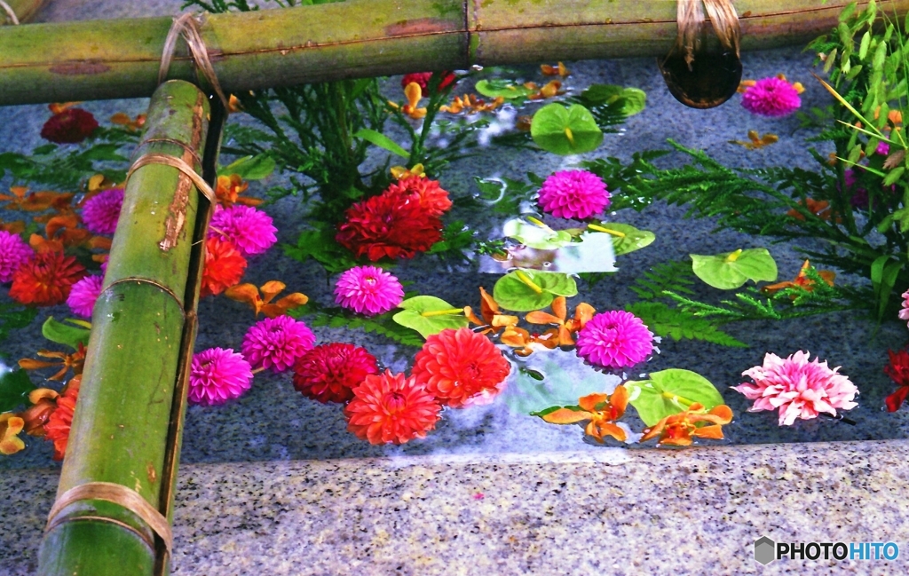 華手水・・・セミ版