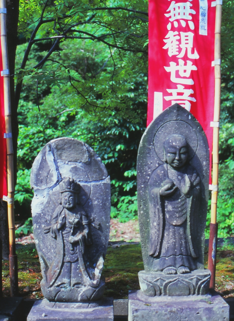 相棒・・・