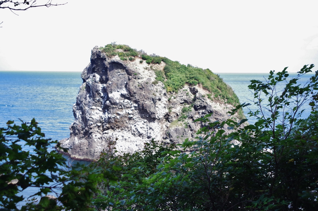 恵比寿岩　見返りで一枚・・・