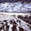 冬の海