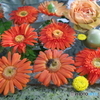 小樽住吉　花手水