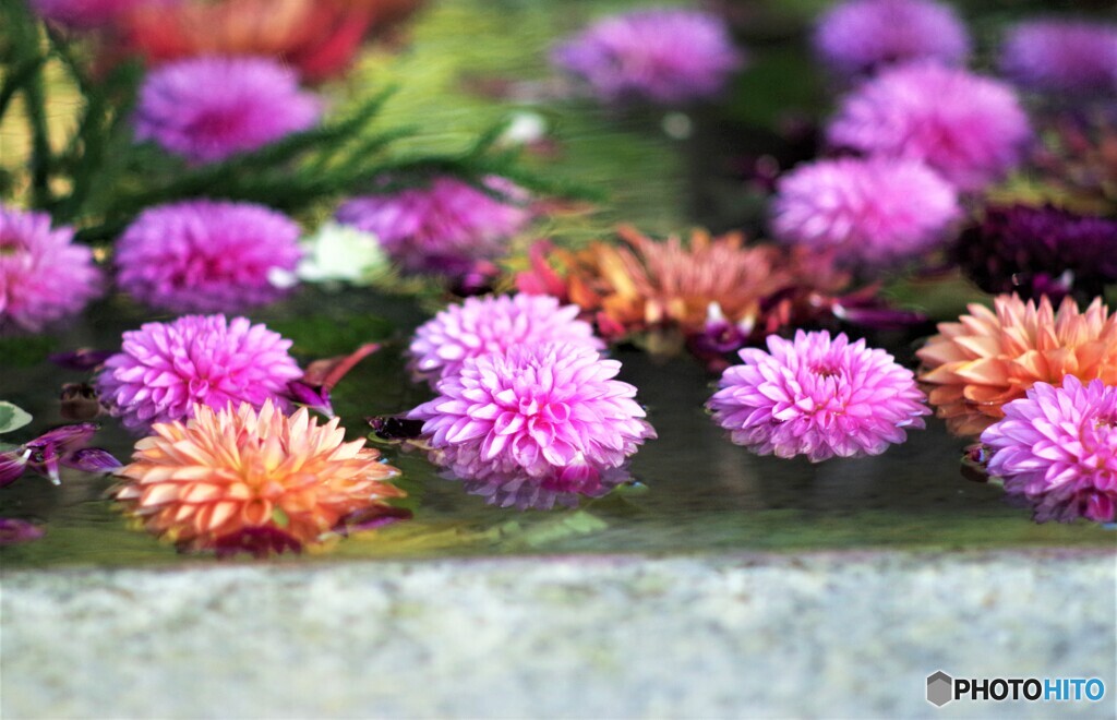 華手水　入れ替え・・