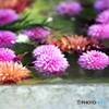 華手水　入れ替え・・