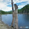 目印はここ・・・