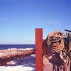 ２月の浜だった・・・