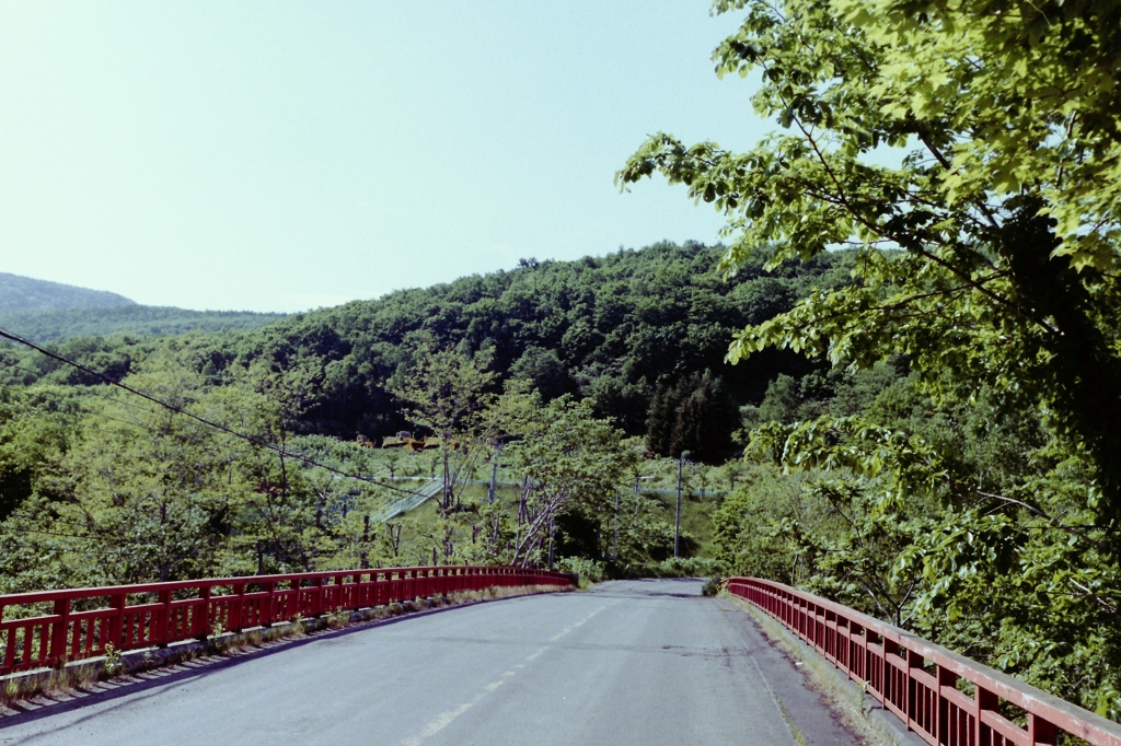 やっとセミ鳴く・・・・橋の上