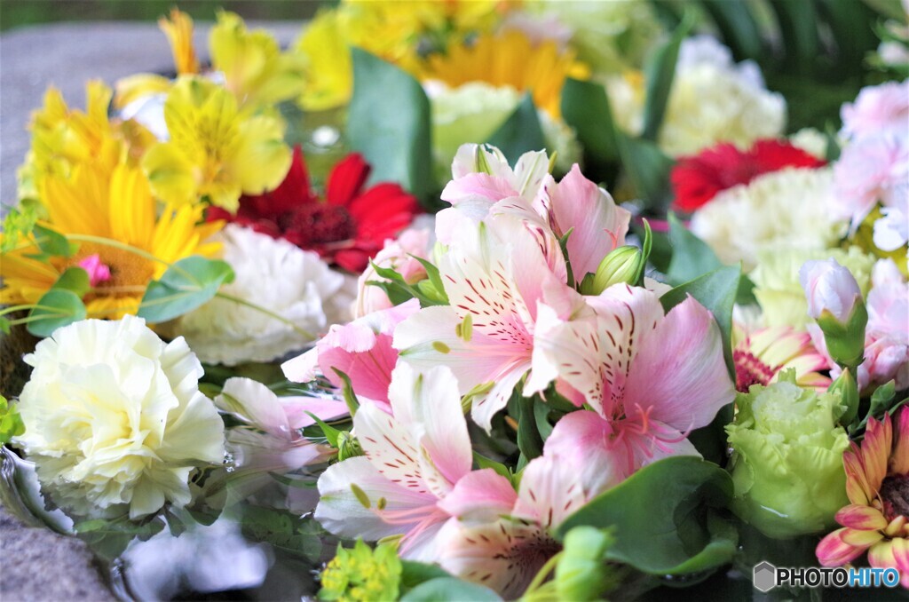 余市神社　花手水３・・・