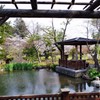 庭園スナップ　池