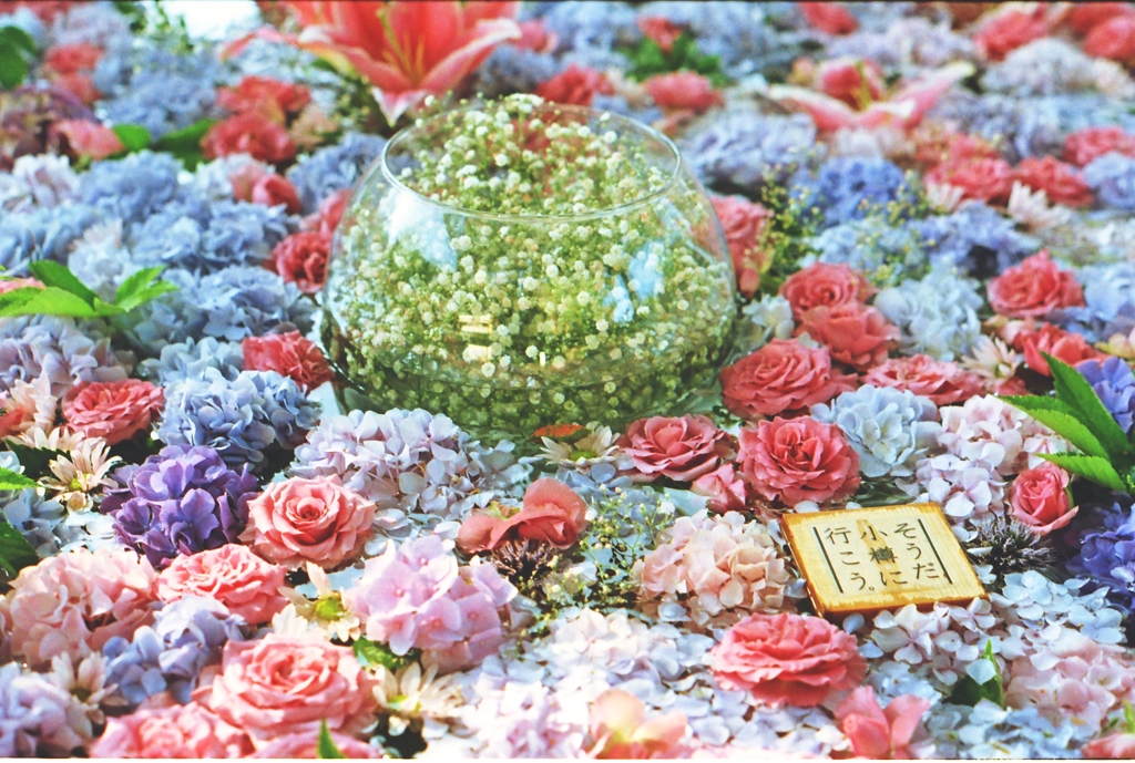 ふんわり　花手水