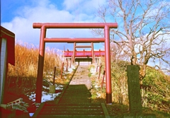 パールで撮る夕暮れ間際の神社・・・