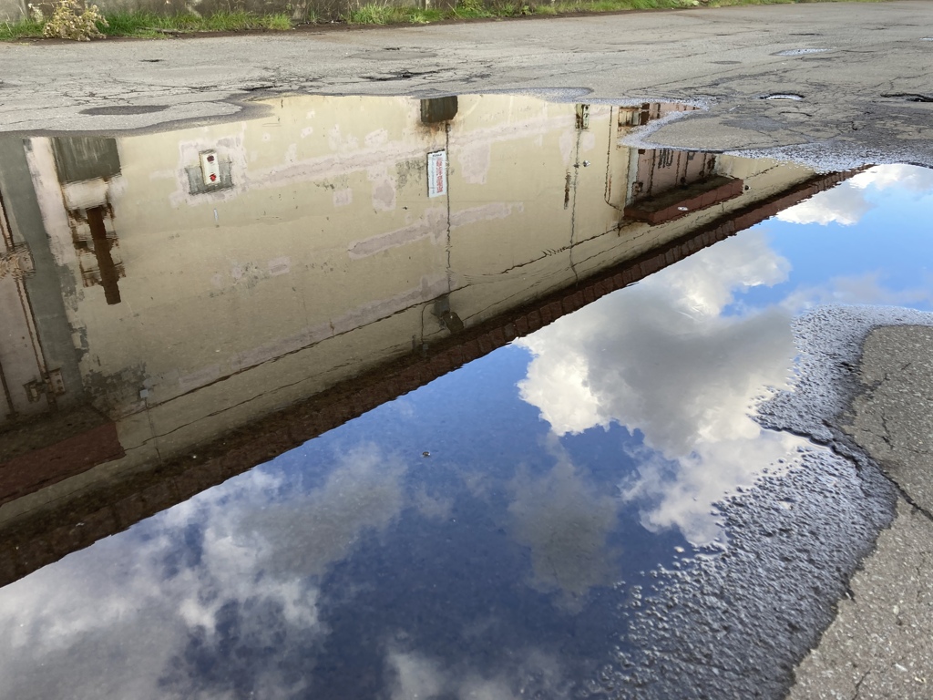 午後の港湾で・・・