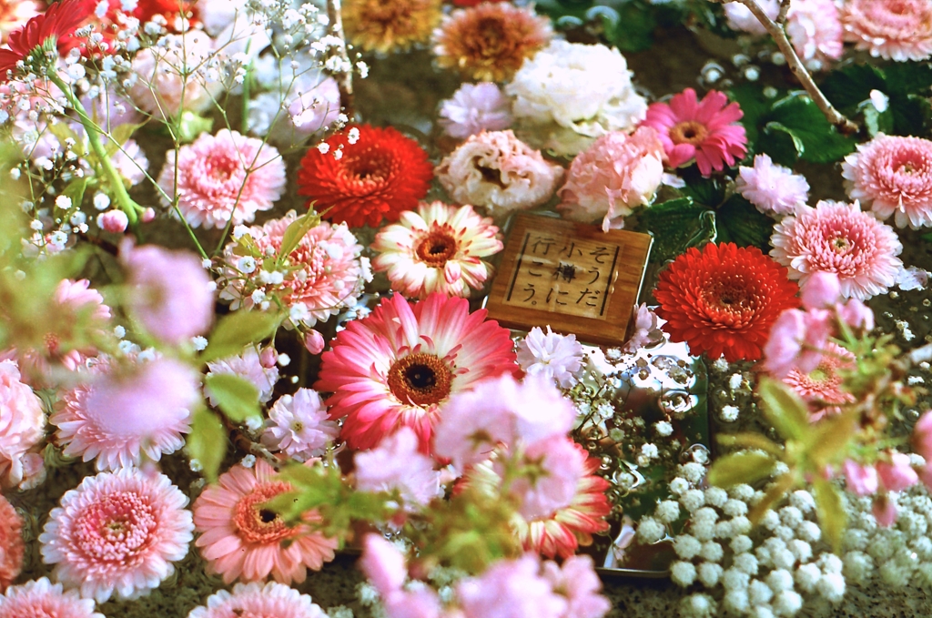 小樽住吉　花手水