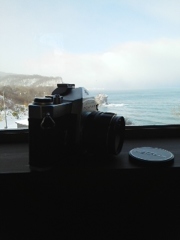 カフェの窓から