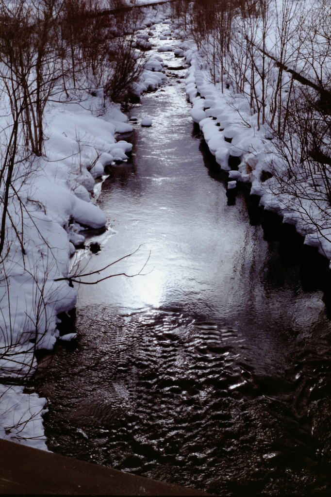 冬の河原・・・