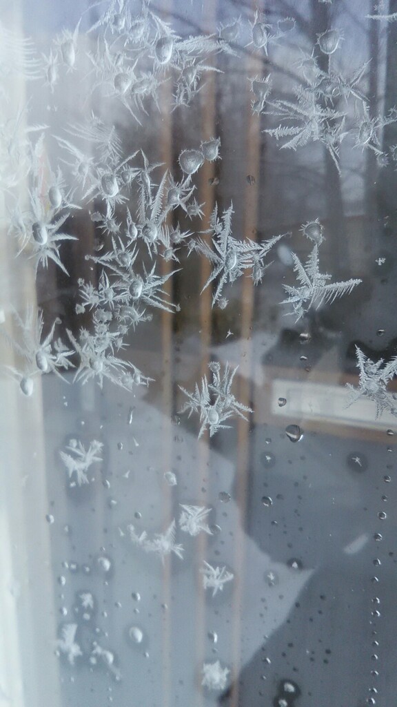 冷え込んだ・・・