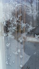 冷え込んだ・・・